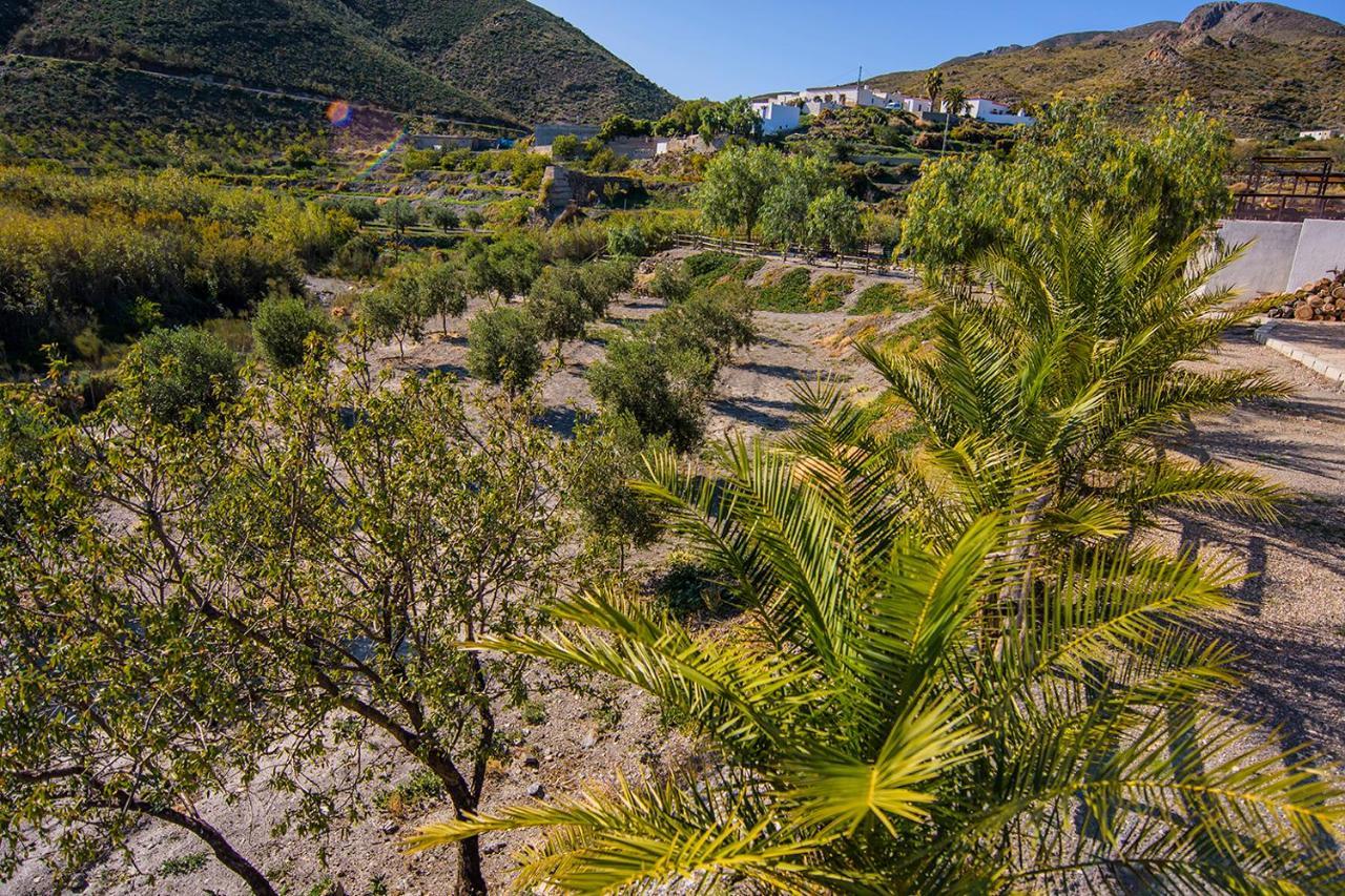 Bed and Breakfast Cortijo 4 Elementos Лукайнена-де-лас-Торрес Экстерьер фото